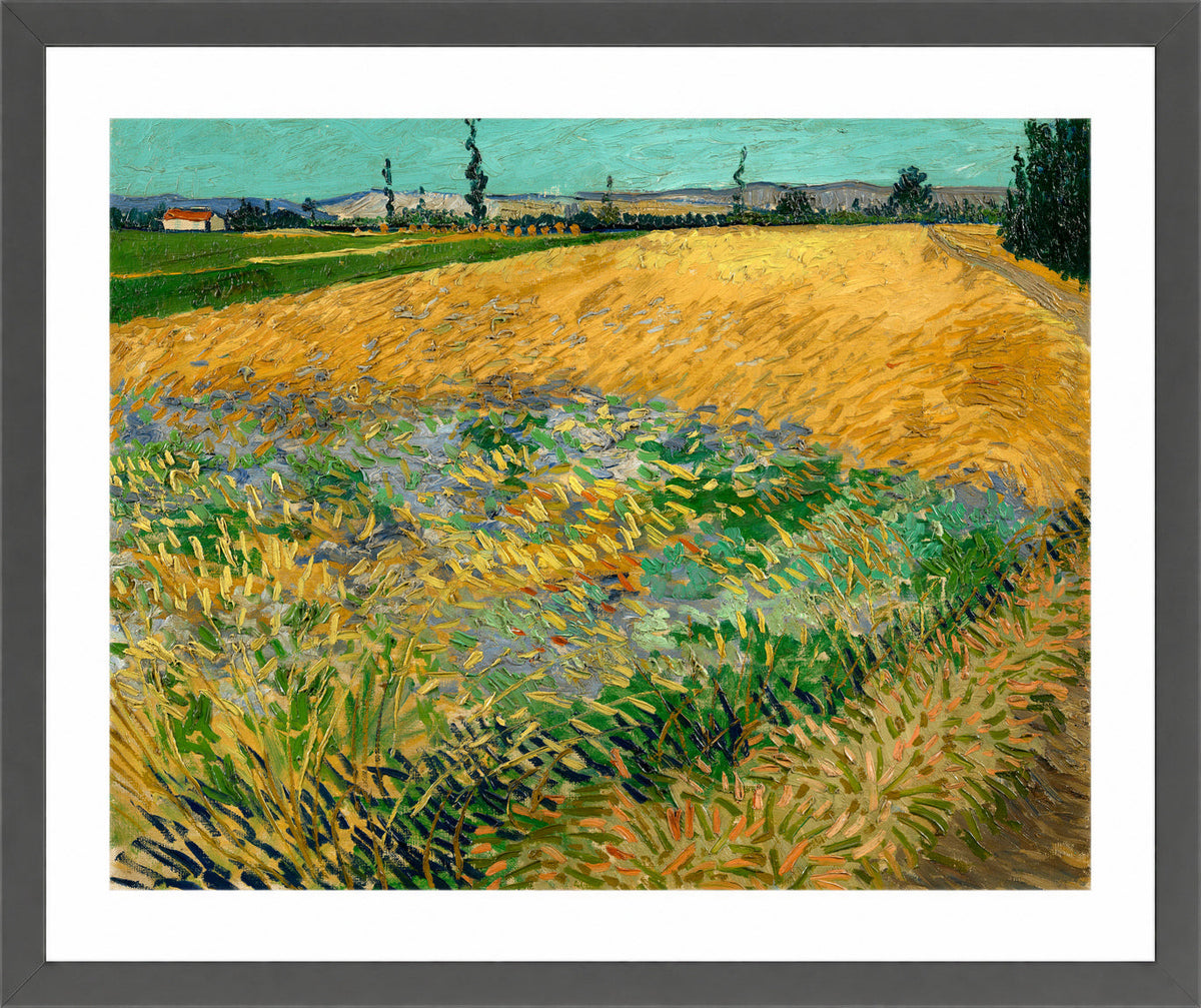 Vincent van Gogh Print, 061 Wheatfield (1888)_10x8 in a dark grey frame