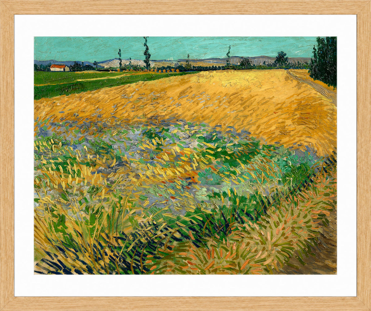 Vincent van Gogh Print, 061 Wheatfield (1888)_10x8 in an oak frame