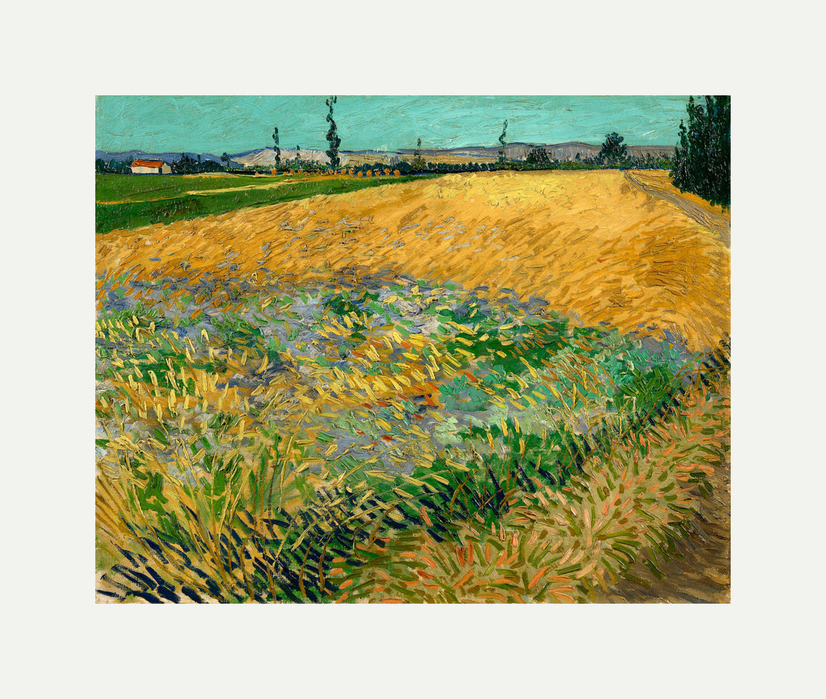Vincent van Gogh Print, 061 Wheatfield (1888)_10x8 with an off-white border for rolled canvas
