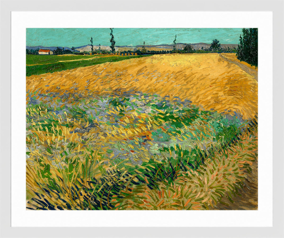 Vincent van Gogh Print, 061 Wheatfield (1888)_10x8 in a white frame