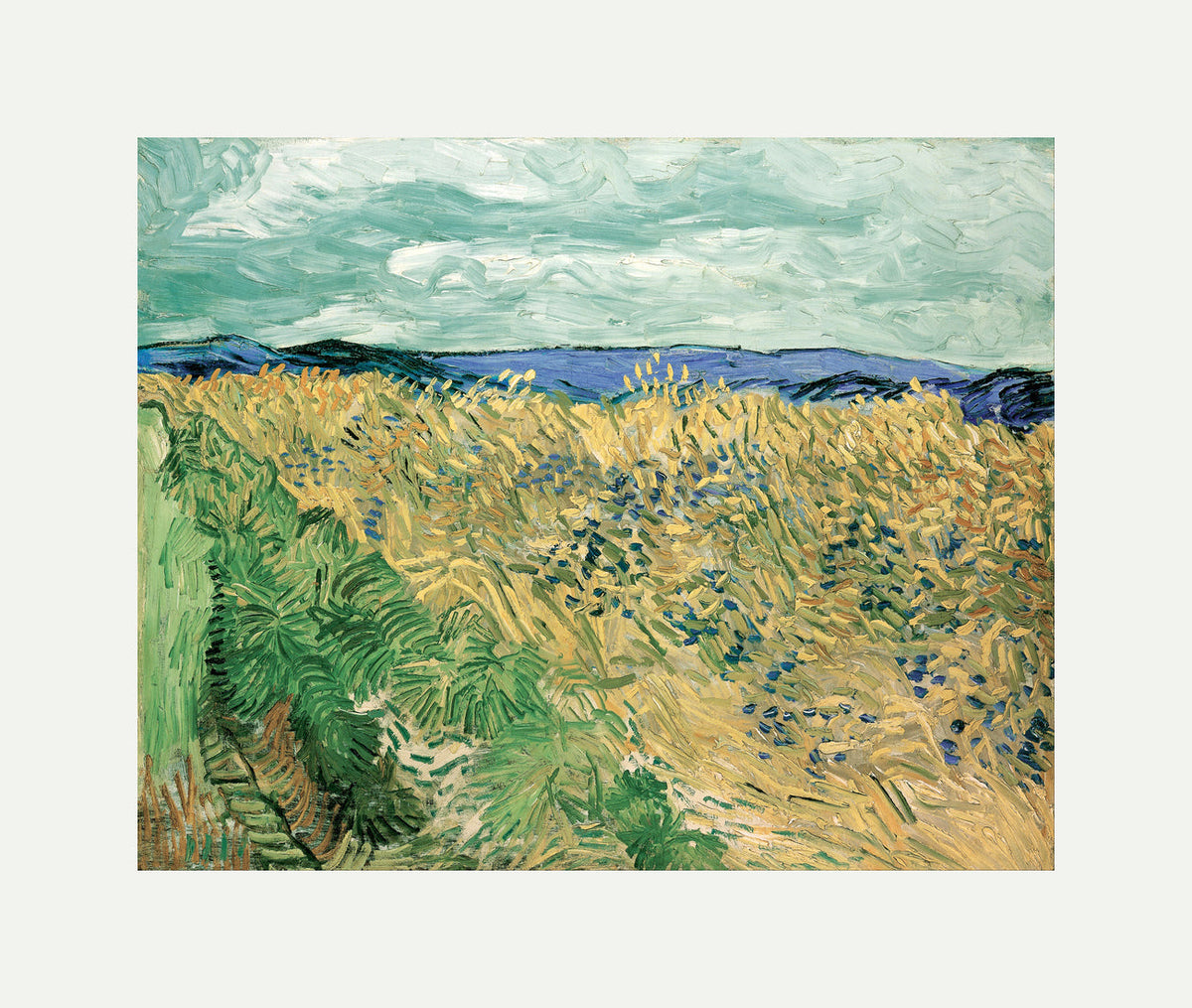 Vincent van Gogh Print, 064 Wheatfield With Cornflowers (1890)_10x8 with an off-white border for rolled canvas