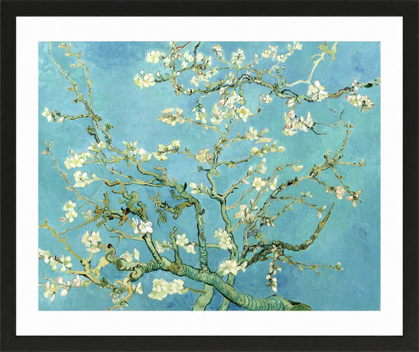 Vincent Van Gogh Fine Art Print, Almond Blossom
