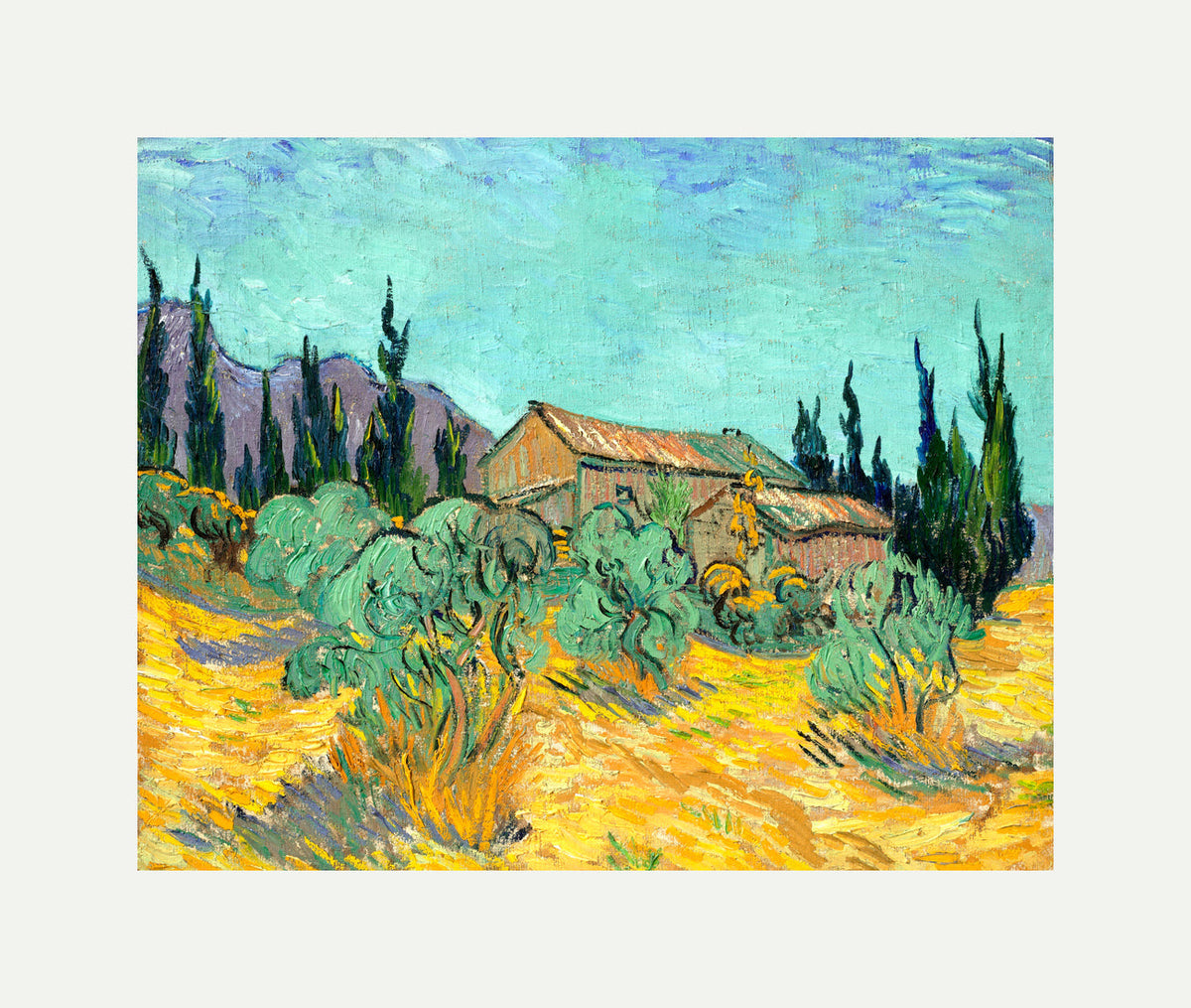 Vincent van Gogh Print, 073 Cabanes de bois parmi les oliviers et cyprès (1889)_10x8 with an off-white border for rolled canvas