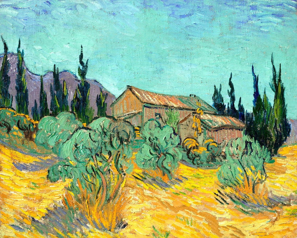 Vincent van Gogh Print, 073 Cabanes de bois parmi les oliviers et cyprès (1889)_10x8 as an unframed print
