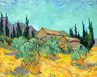 Vincent van Gogh Print, 073 Cabanes de bois parmi les oliviers et cyprès (1889)_10x8 as an unframed print