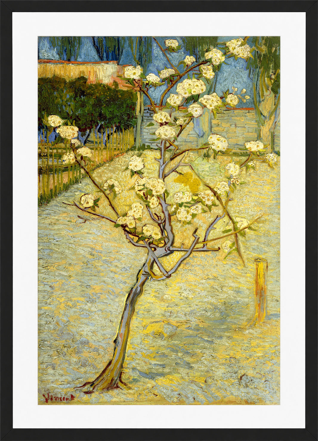 Vincent van Gogh Print, 118 Small pear tree in blossom (1888)_12x8 in a black frame