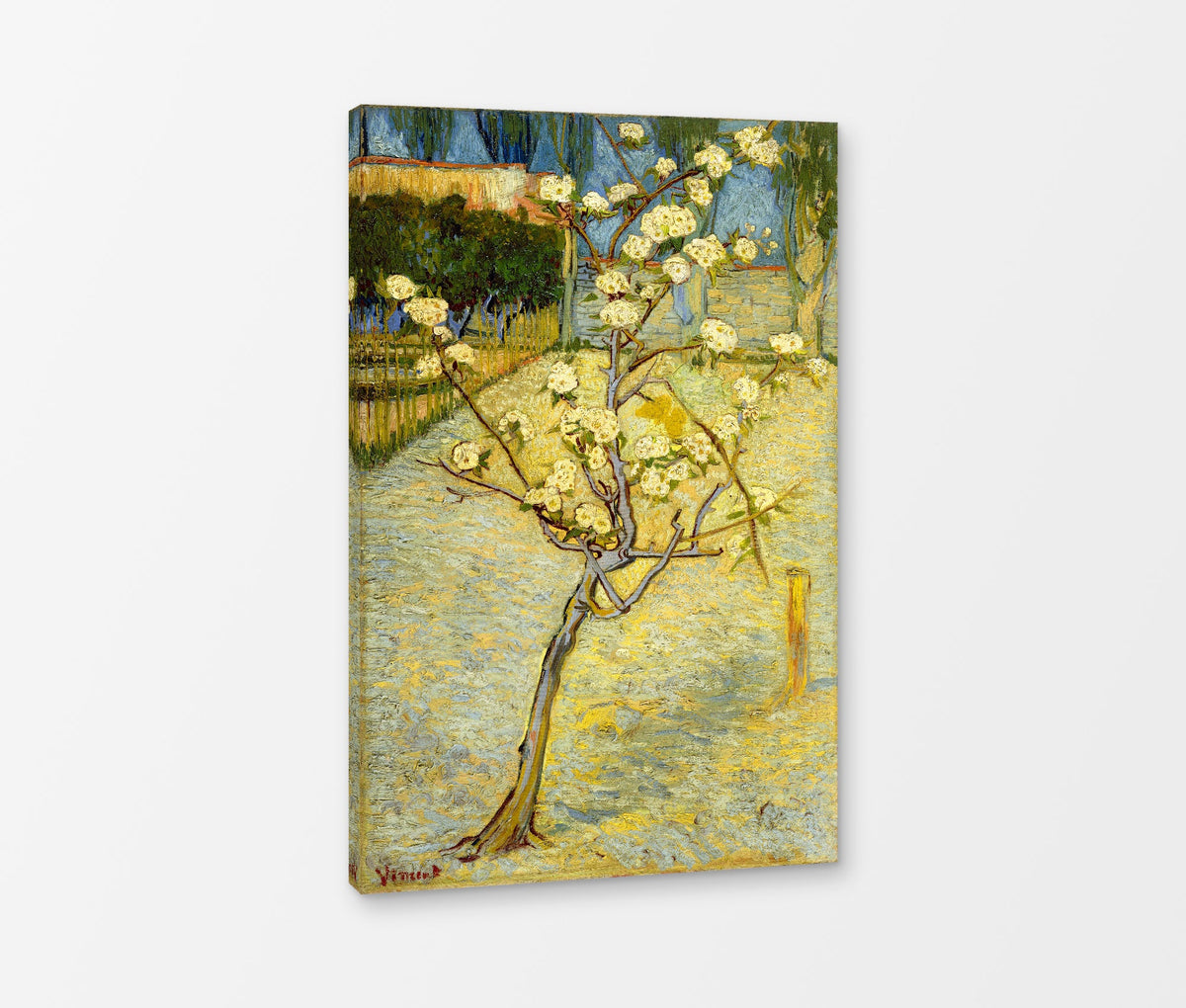 Vincent van Gogh Print, 118 Small pear tree in blossom (1888)_12x8 as a ready-to-hang canvas panel