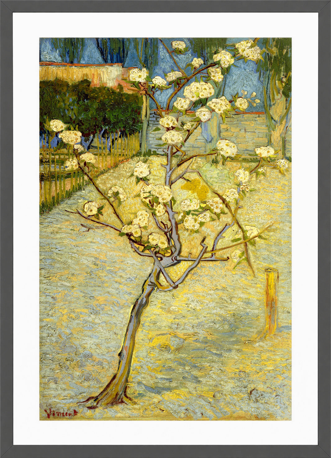 Vincent van Gogh Print, 118 Small pear tree in blossom (1888)_12x8 in a dark grey frame