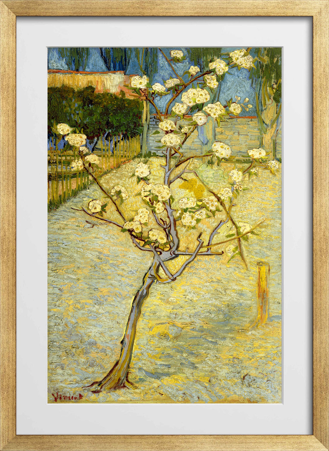 Vincent van Gogh Print, 118 Small pear tree in blossom (1888)_12x8 in a gold frame