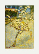 Vincent van Gogh Print, 118 Small pear tree in blossom (1888)_12x8 with an off-white border for rolled canvas