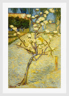 Vincent van Gogh Print, 118 Small pear tree in blossom (1888)_12x8 in a white frame