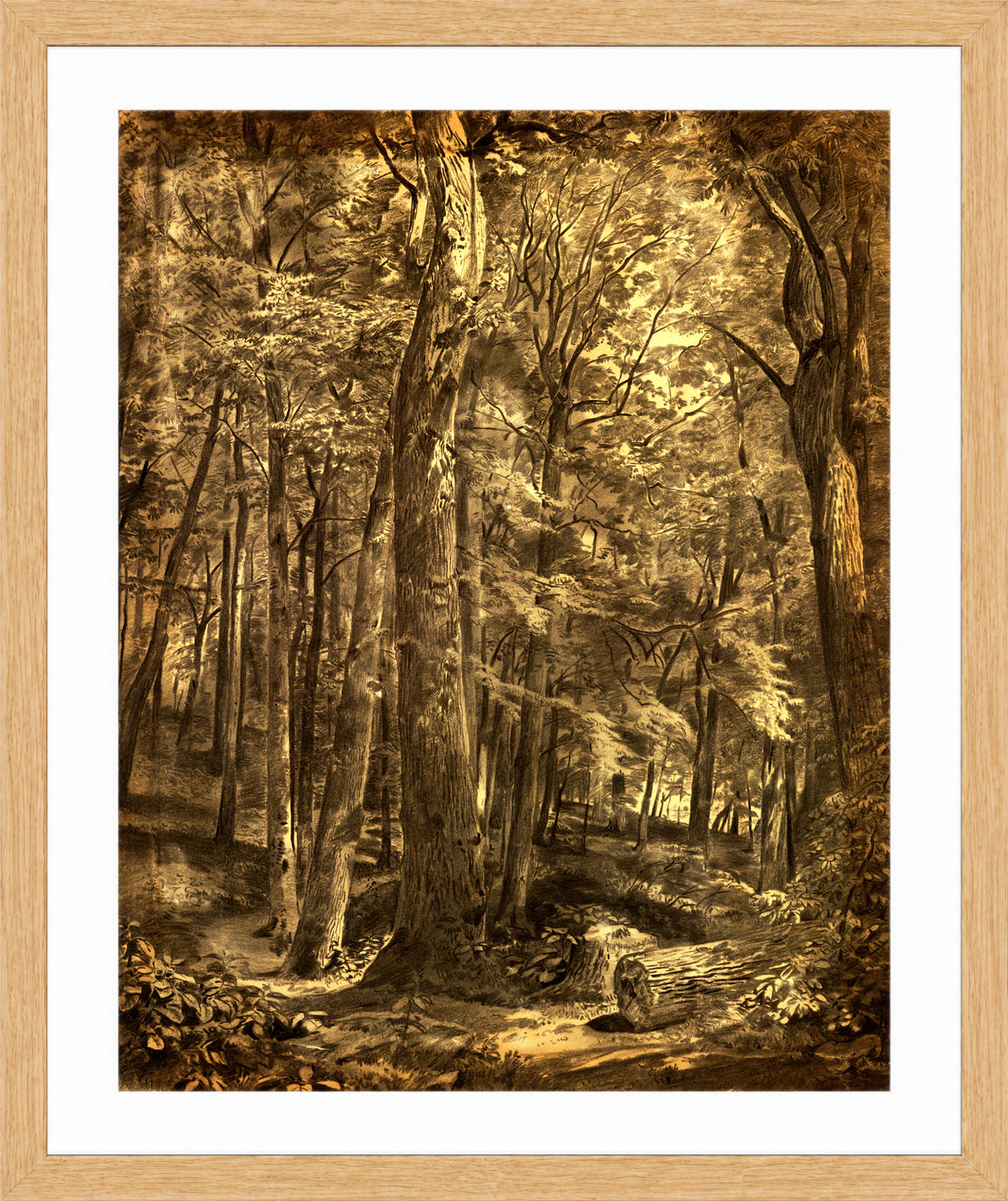 William Trost Richards Print, In The Woods (1864) in a light oak frame