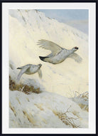 Winter Ptarmigan, Archibald Thorburn, Birds Print