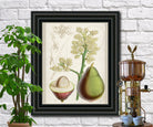 Avocado Print Vintage Botanical Sketch Poster Art - OnTrendAndFab