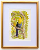 Toucan Watercolor Painting Tropical Bird Painting Framed by Andi Lucas