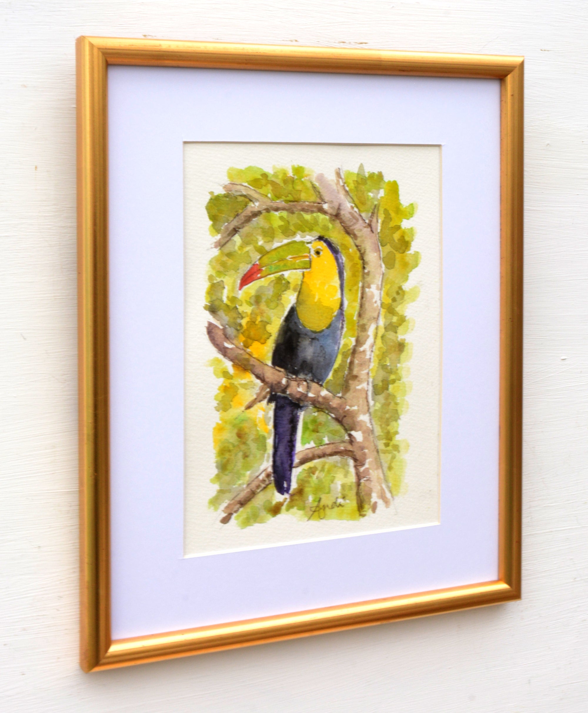 Toucan Watercolor Painting Tropical Bird Painting Framed by Andi Lucas