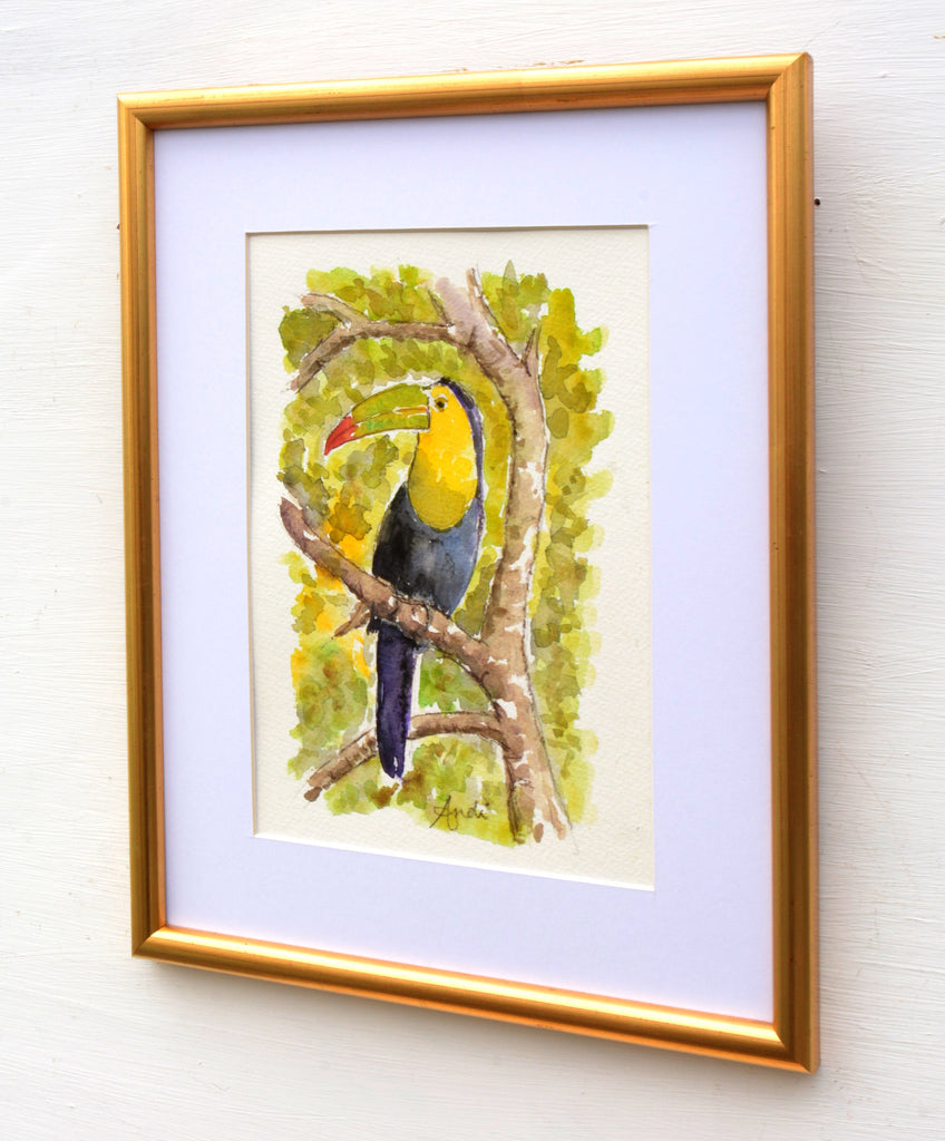 Toucan Watercolor Painting Tropical Bird Painting Framed by Andi Lucas