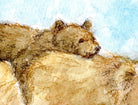 Brown Bears, Mother and Cub Watercolour Print, Andi Lucas Wildlife Art