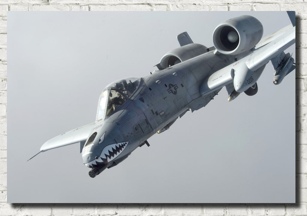 Photographic Art Print, A-10 Thunderbolt II aircraft