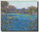 Julian Onderdonk Fine Art Print, A Field of Blue Bonnets Late Afternoon Sunshine