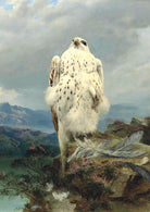 A Gyrfalcon In An Extensive Mountainous Landscape, Joseph Wolf Print