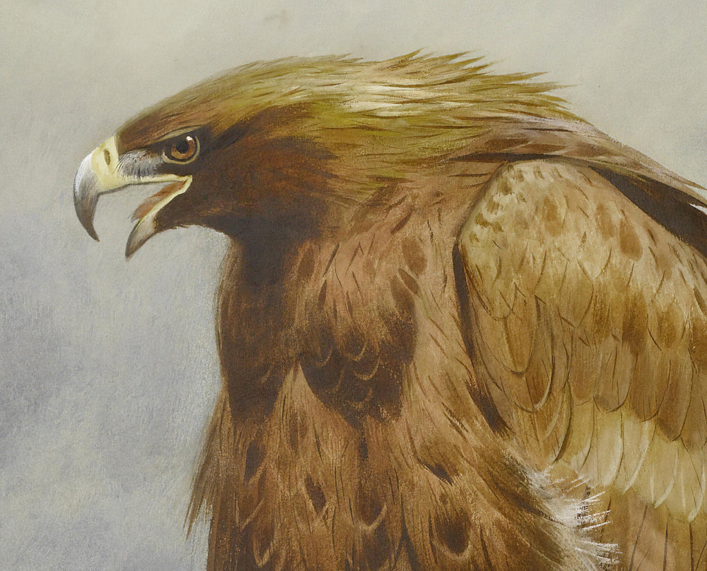 A Pair Of Golden Eagles, Archibald Thorburn, Birds Print