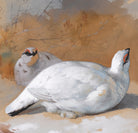 A brace Of Ptarmigan In The Snow, Archibald Thorburn, Birds Print