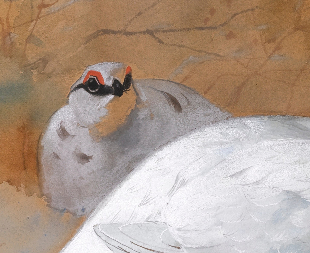 A brace Of Ptarmigan In The Snow, Archibald Thorburn, Birds Print