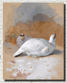 A brace Of Ptarmigan In The Snow, Archibald Thorburn, Birds Print