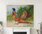 A hen and cock pheasant by gorse, Archibald Thorburn, Birds Print