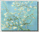 Vincent Van Gogh Fine Art Print, Almond Blossom