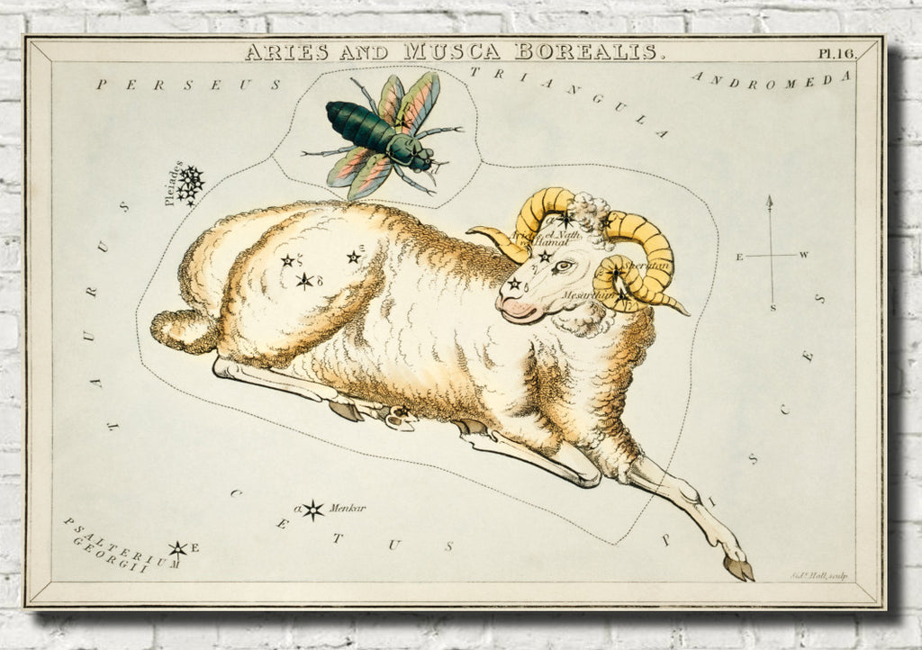 Aries and Musca Borealis, Sidney Hall Costellations Print