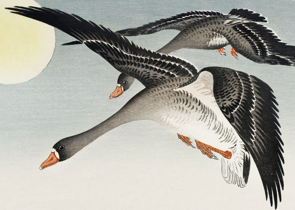 Birds at Full Moon Japanese Fine Art Print, Ohara Koson - GalleryThane.com