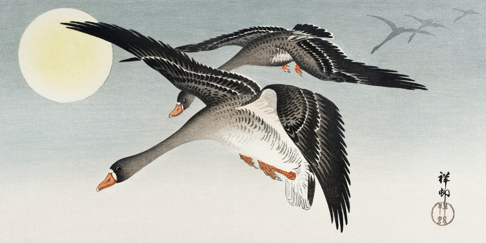 Birds at Full Moon Japanese Fine Art Print, Ohara Koson - GalleryThane.com