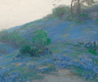 Julian Onderdonk Fine Art Print, Blue Bonnet Field, Early Morning, San Antonio Texas
