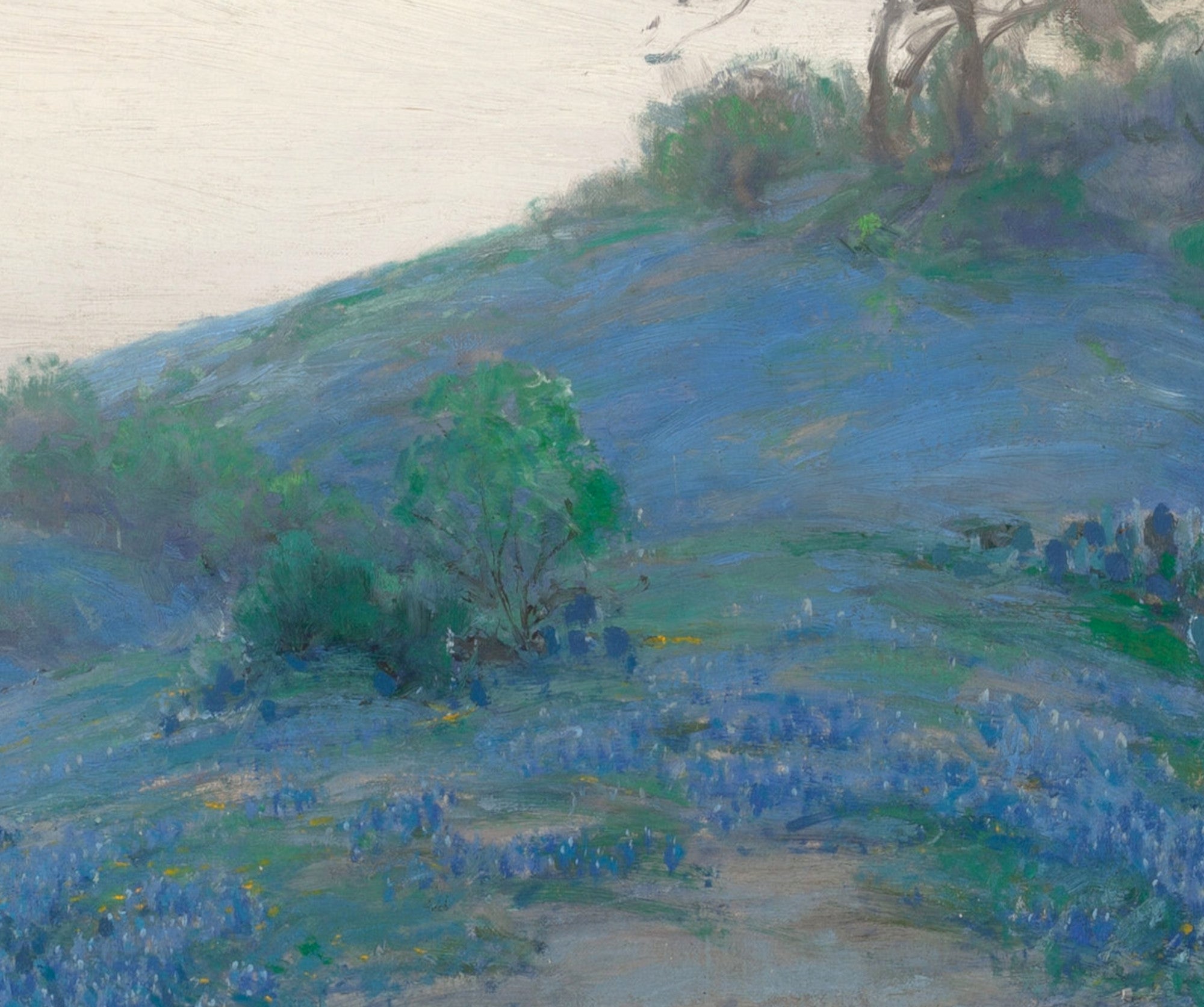 Julian Onderdonk Fine Art Print, Blue Bonnet Field, Early Morning, San Antonio Texas