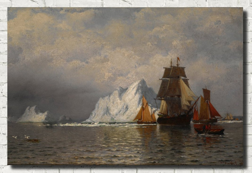 William Bradford Fine Art Print : Whaler