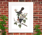 Cat Bird Illustration Print Vintage Bird Sketch Art 0413