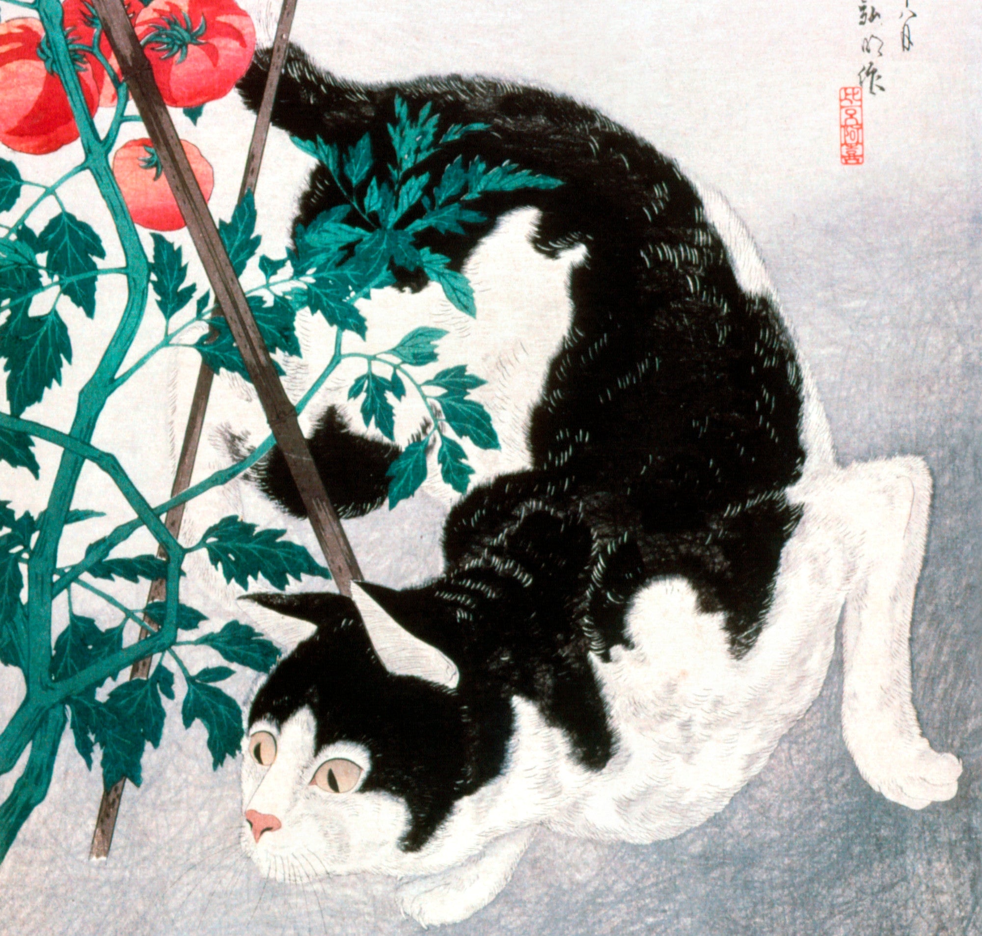 Cat with Tomato Plant, Japanese Fine Art Print, Hiroaki Takahashi