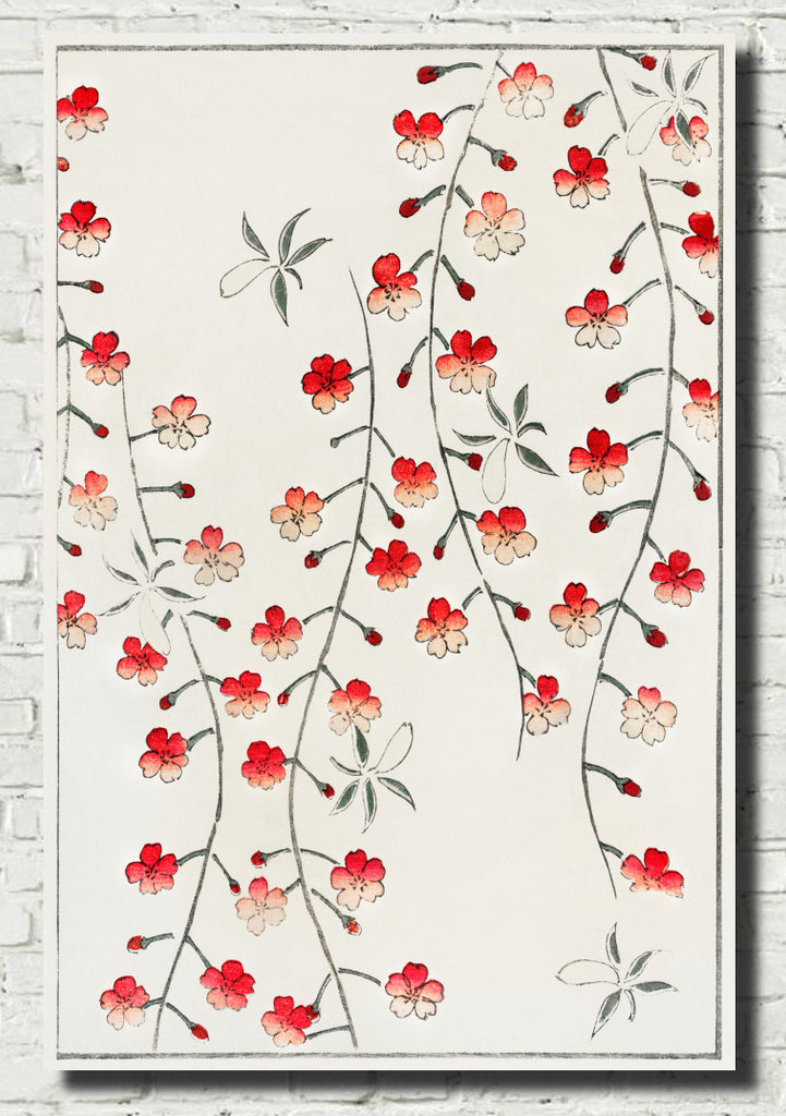 Cherry Blossom, Japanese Illustration Print, Watanabe Shōtei
