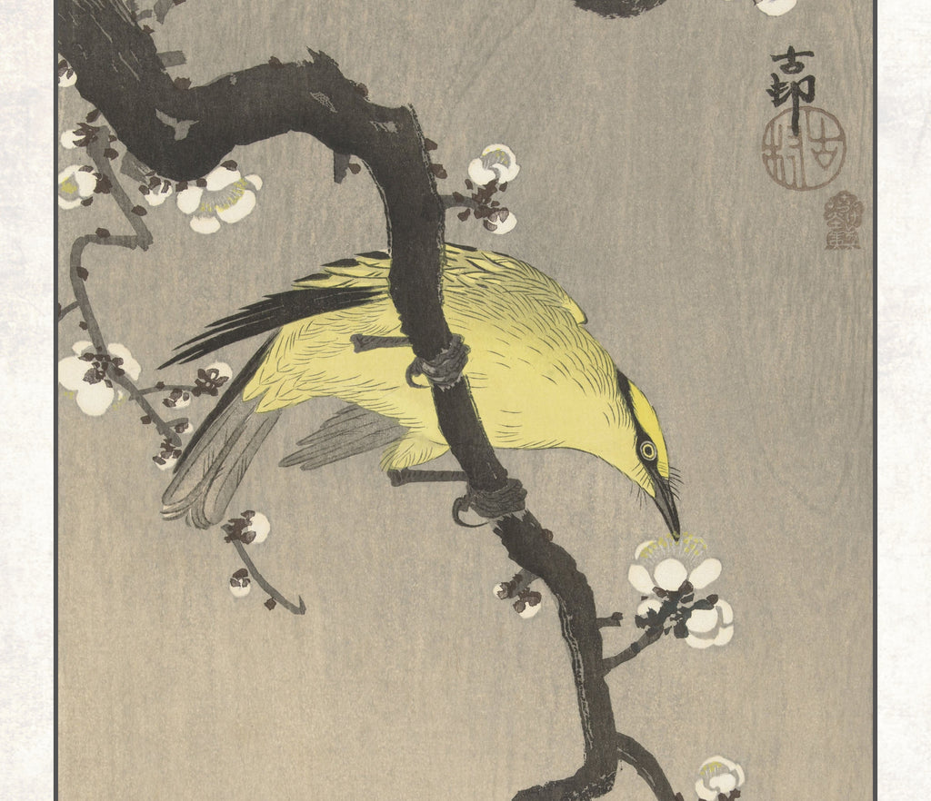 Ohara Koson Japanese Fine Art Print, Chinese golden oriole on plum blossom branch