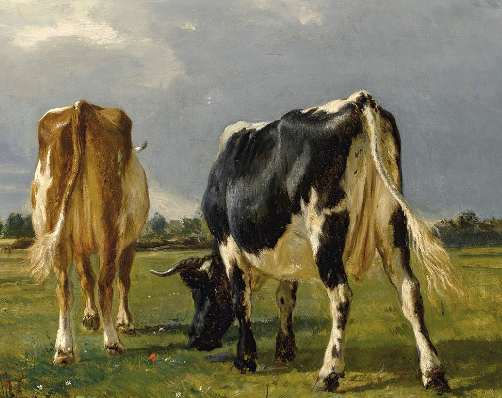 Cows In A Pasture, Constant Troyon Fine Art Print