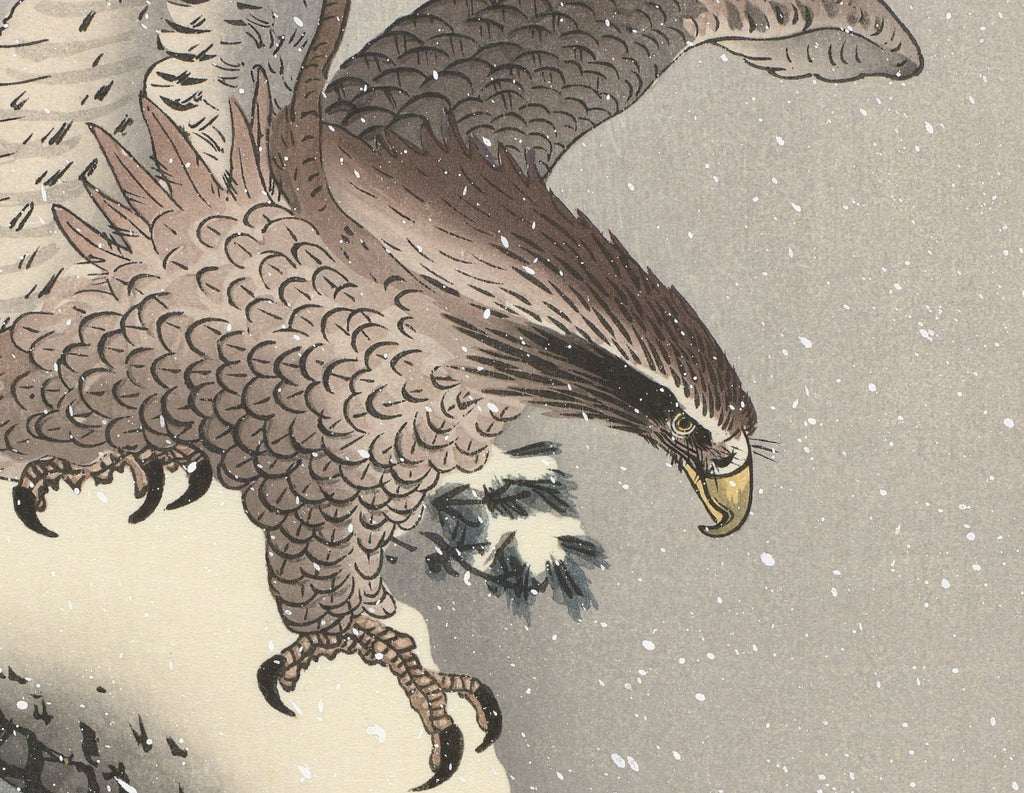 Ohara Koson Japanese Fine Art Print, Eagle on snowy pine tree