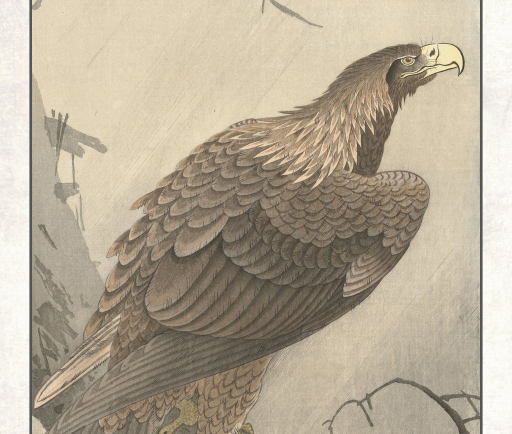Ohara Koson Japanese Fine Art Print, Eagle on tree branch