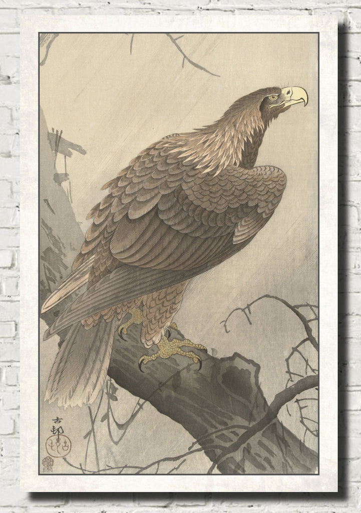 Ohara Koson Japanese Fine Art Print, Eagle on tree branch