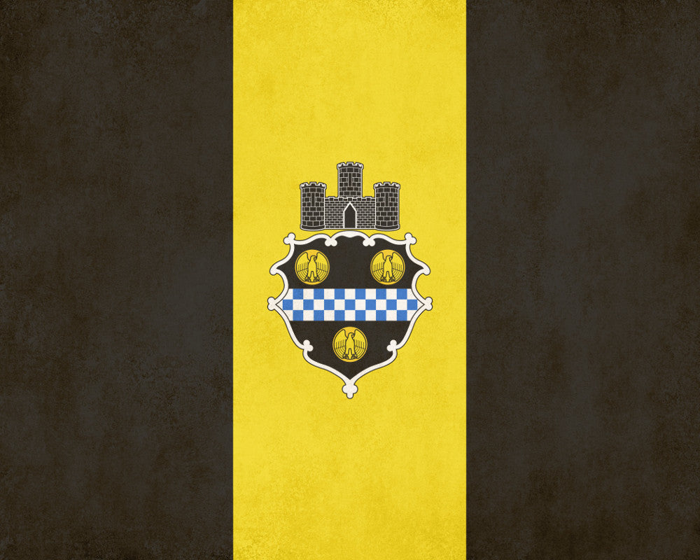 Pittsburgh Pennsylvania City Flag Print