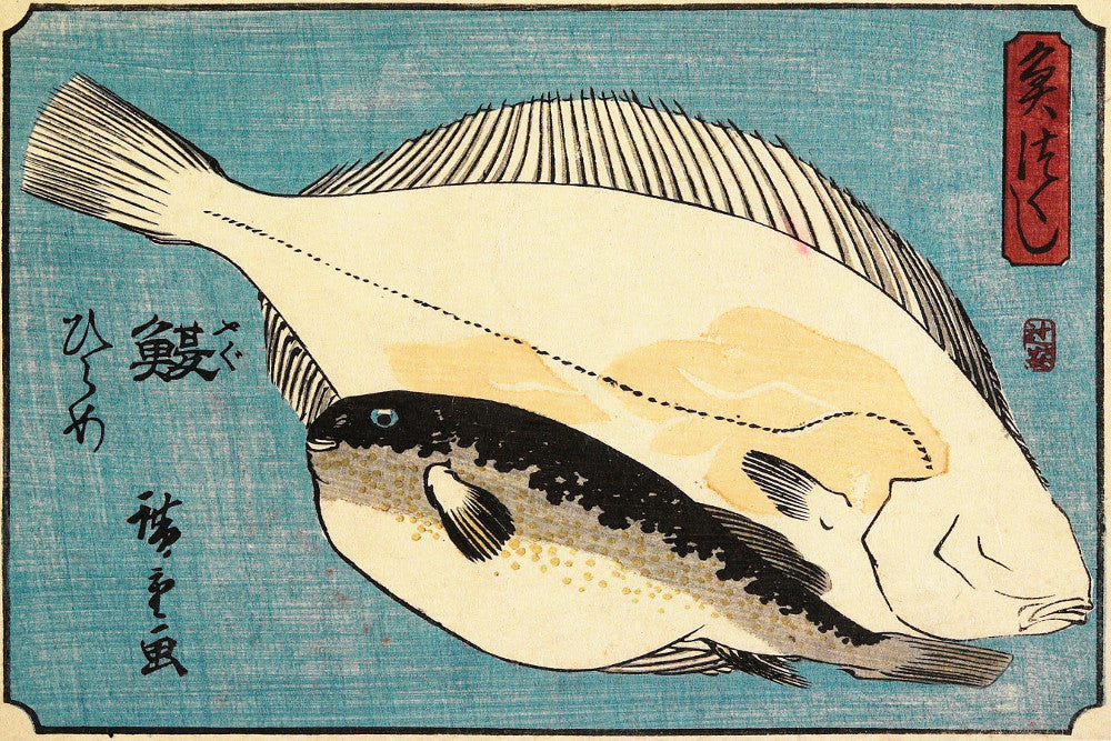 Fish Print Globefish Flounder Andō Hiroshige, Japanese Art