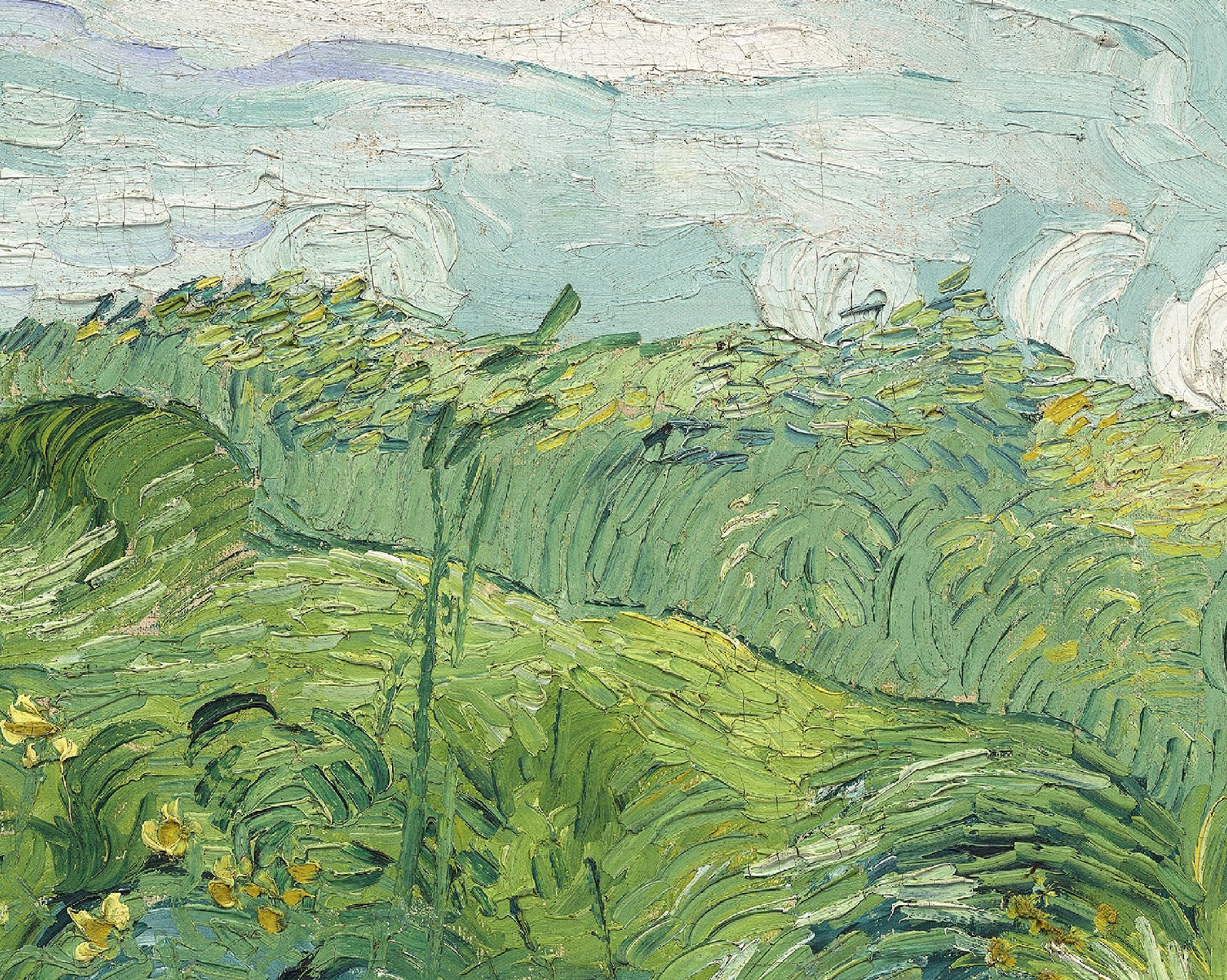 Green Wheatfields, Vincent Van Gogh Fine Art Print