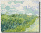 Green Wheatfields, Vincent Van Gogh Fine Art Print