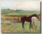 Edgar Degas, Fine Art Print : Horse in a Meadow